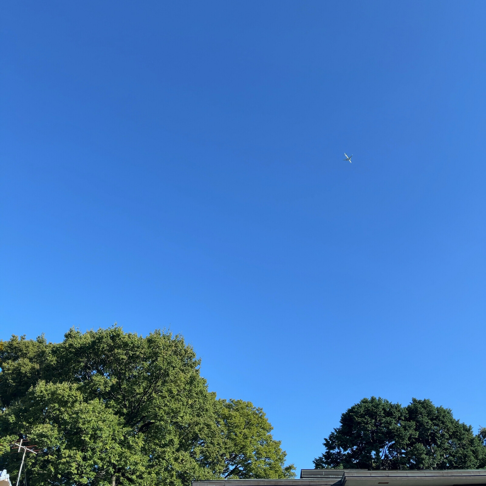 午後の空の写真、まだまだ夏の様子